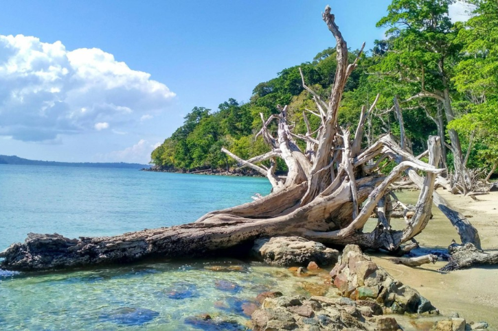 Chidiya Tapu Beach