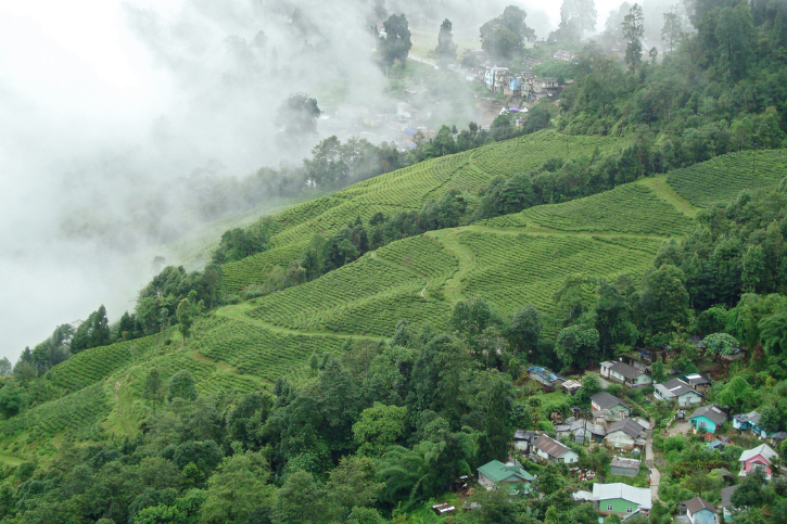 Darjeeling